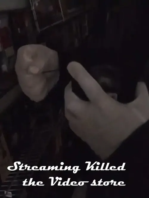 Streaming Killed the Video Store*