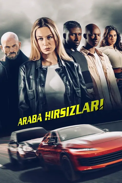 Araba Hırsızları